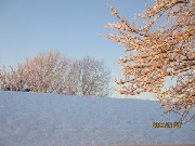 初雪⛄