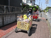 つくし、めだか組だより☆彡