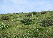 お散歩日和🌷